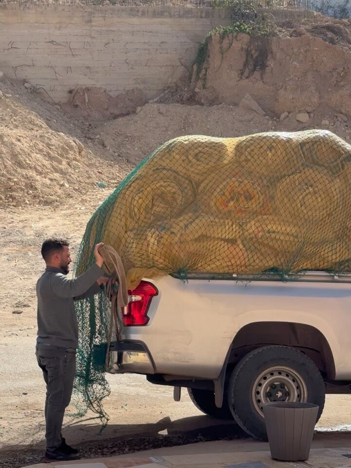 Instagram post from women_rugs. This post is in position 1.